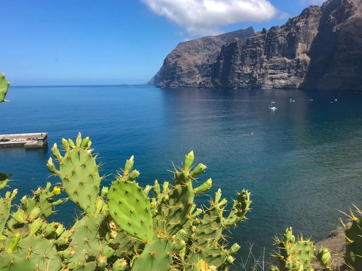 Apartment Theresa Los Gigantes Puerto de Santiago  Spain